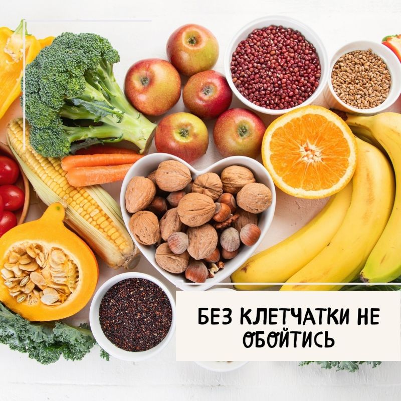 ���������: ���� � �������� � ��������� ������ �����