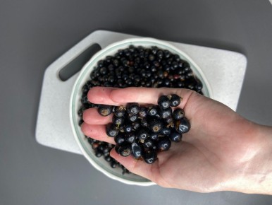 ����� �� ����������: ������ �������� ��� ������ �����