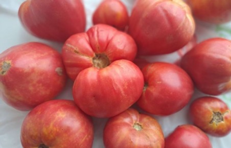 ��� ��������� �������� ������� �� ��������� �������: ������� �� �������