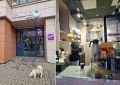 Кофейни с душой: открылся новый уютный уголок в Богородском