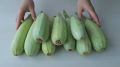 Как эффективно использовать избыток кабачков: кулинарные идеи на любой вкус