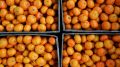 Секреты выбора самых вкусных мандаринов: как не ошибиться в магазине