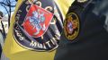 Таможенная служба Литвы обнаружила крупную партию конфет с нарушением авторских прав